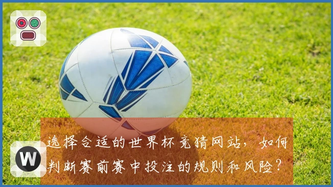 选择合适的世界杯竞猜网站，如何判断赛前赛中投注的规则和风险？