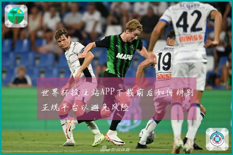 世界杯投注站APP下载前后如何辨别正规平台以避免风险