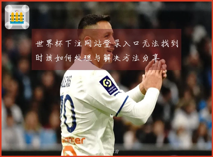 世界杯下注网站登录入口无法找到时该如何处理与解决方法分享